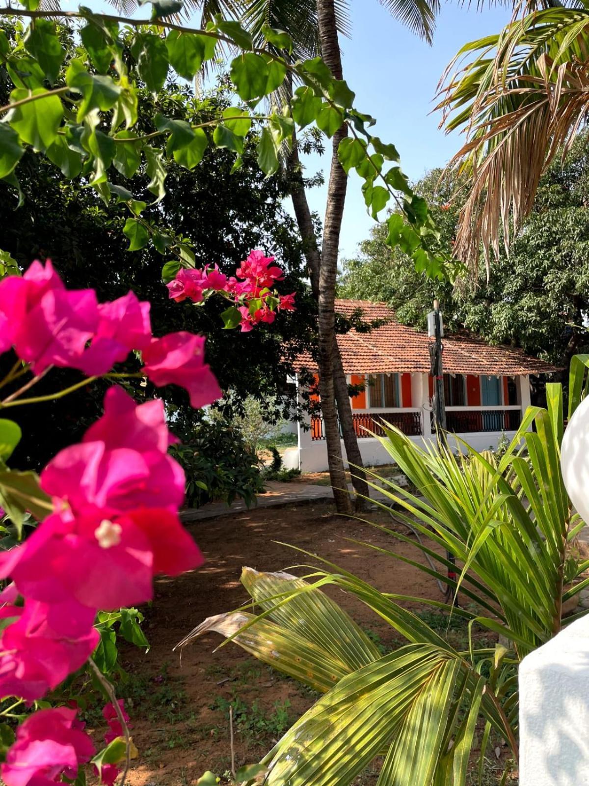 באג'ה Papilio Beach Front Cottages-Tbv מראה חיצוני תמונה